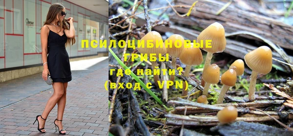 спиды Заводоуковск