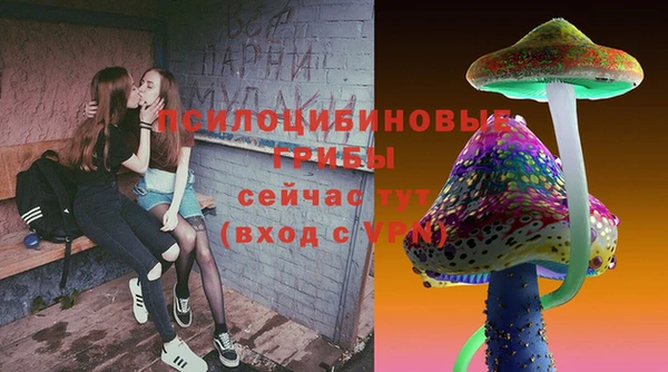 спиды Заводоуковск