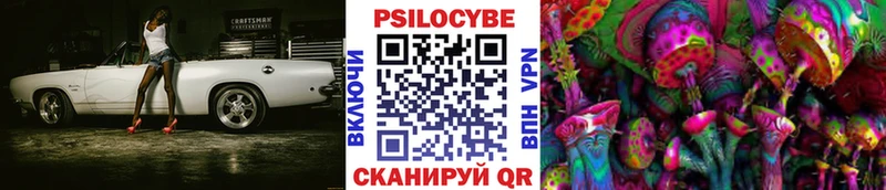 Псилоцибиновые грибы MAGIC MUSHROOMS  blacksprut   Злынка  купить закладку 